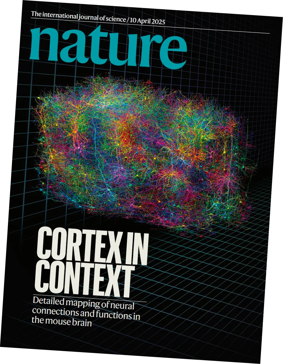 Colorful 3D neural network map representing detailed connections in the mouse brain cortex on the cover of Nature journal dated 10 April 2025.