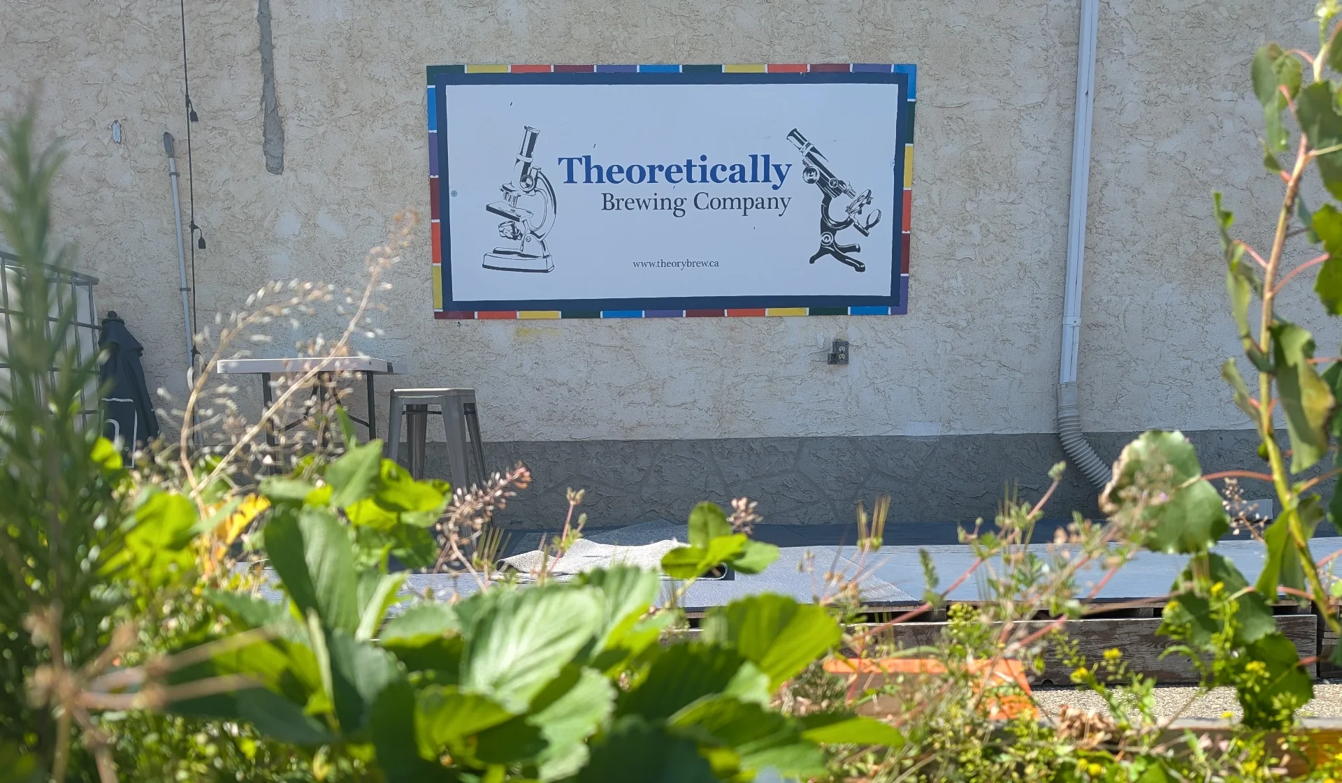 A picture of the Theoretically Brewing stage featuring the Theoretically Brewing banner on the far wall; the foreground features some plants from the greeenery on the patio.