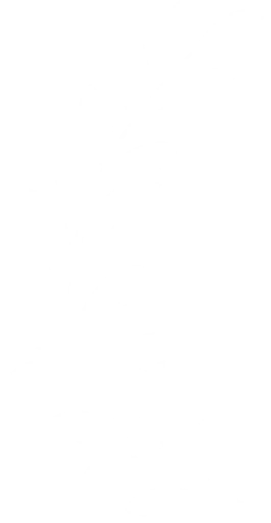 Certificate leaf
