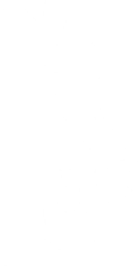 Certificate leaf