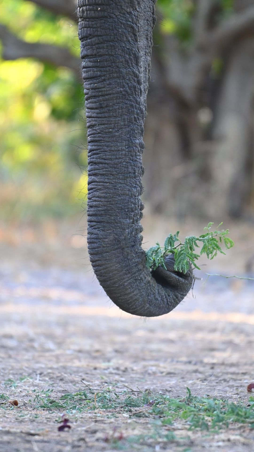 Photo by Marius Van der Walt