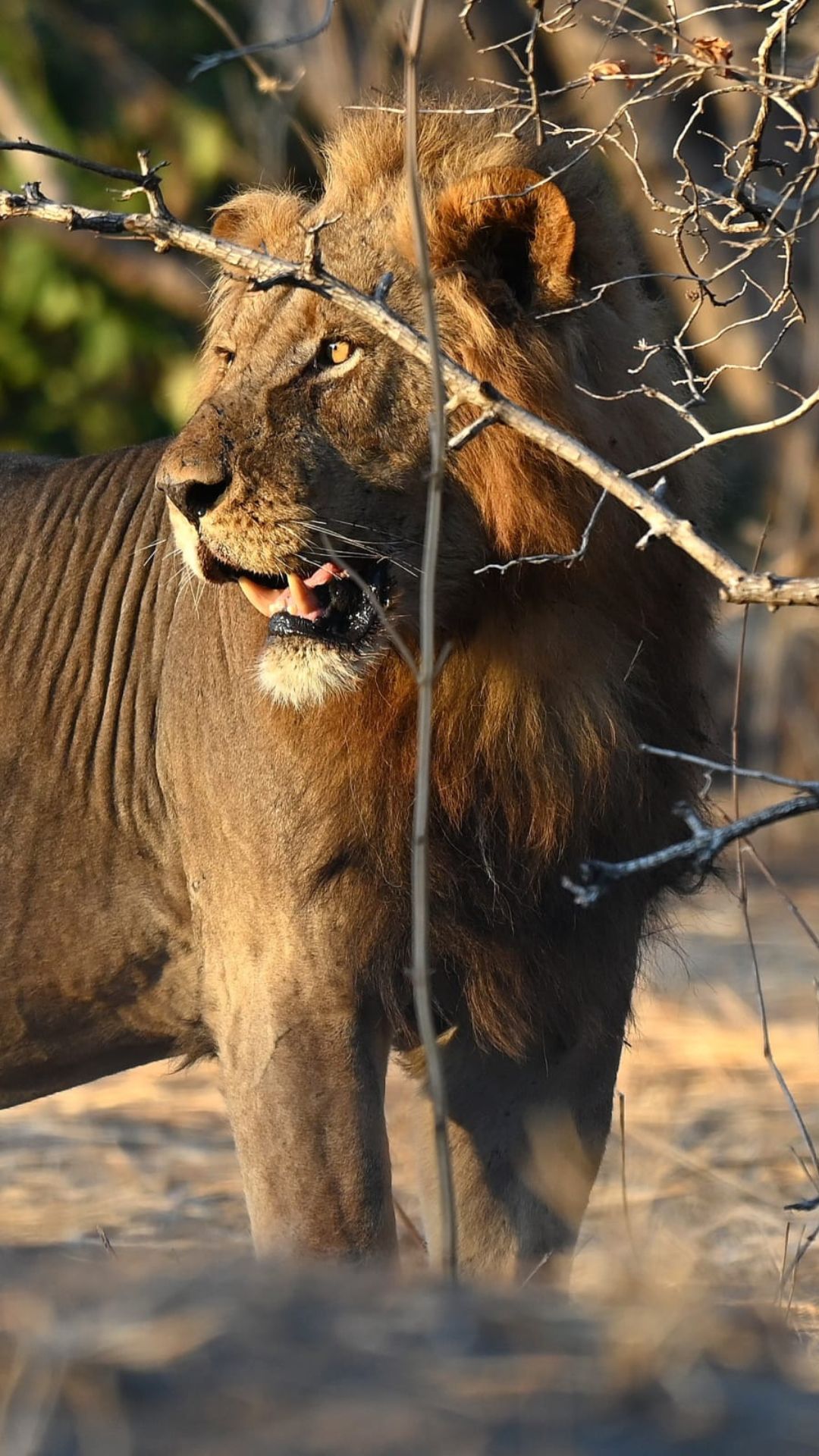 Photo by Marius Van der Walt