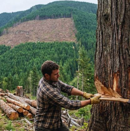 Growth Comes From Consistency