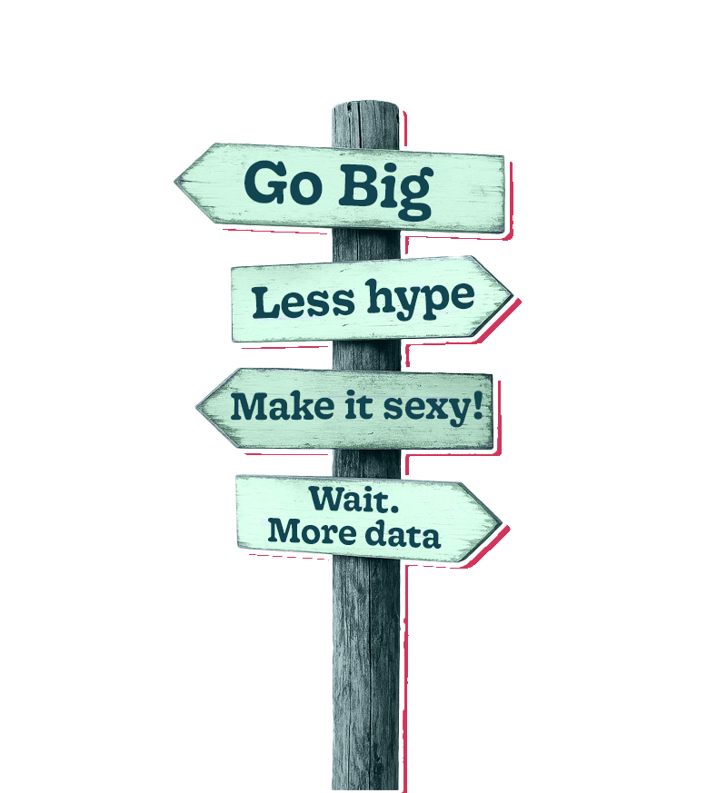 A sign post with four signs pointing in diffferent directions, saying "Go big!", "Less hype", "Make it sexy!", and "Wait. More data."