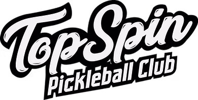 Top Spin Logo