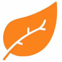 Orange leaf