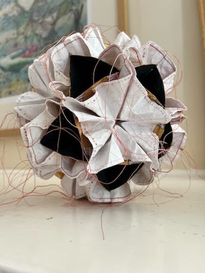 06 Spherical Geometry of Passionflower