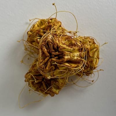 13 Pollen