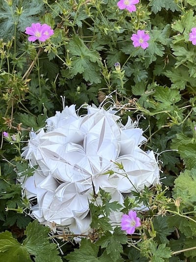 23 Heartstrings with Geranium