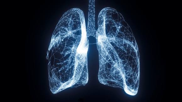 Segmenting Biomedical Images with Vision Transformers