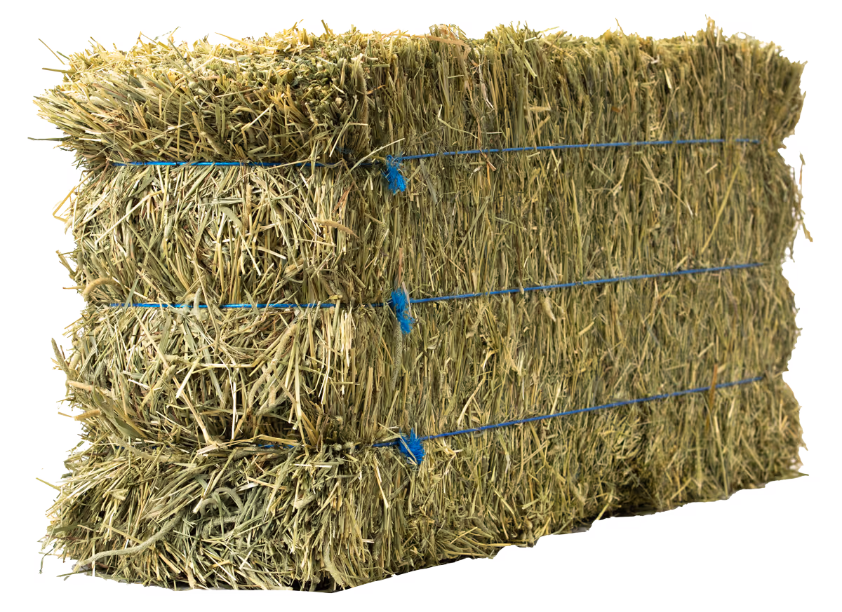 Anderson Hay - 90 LB 3-Tie Bale
