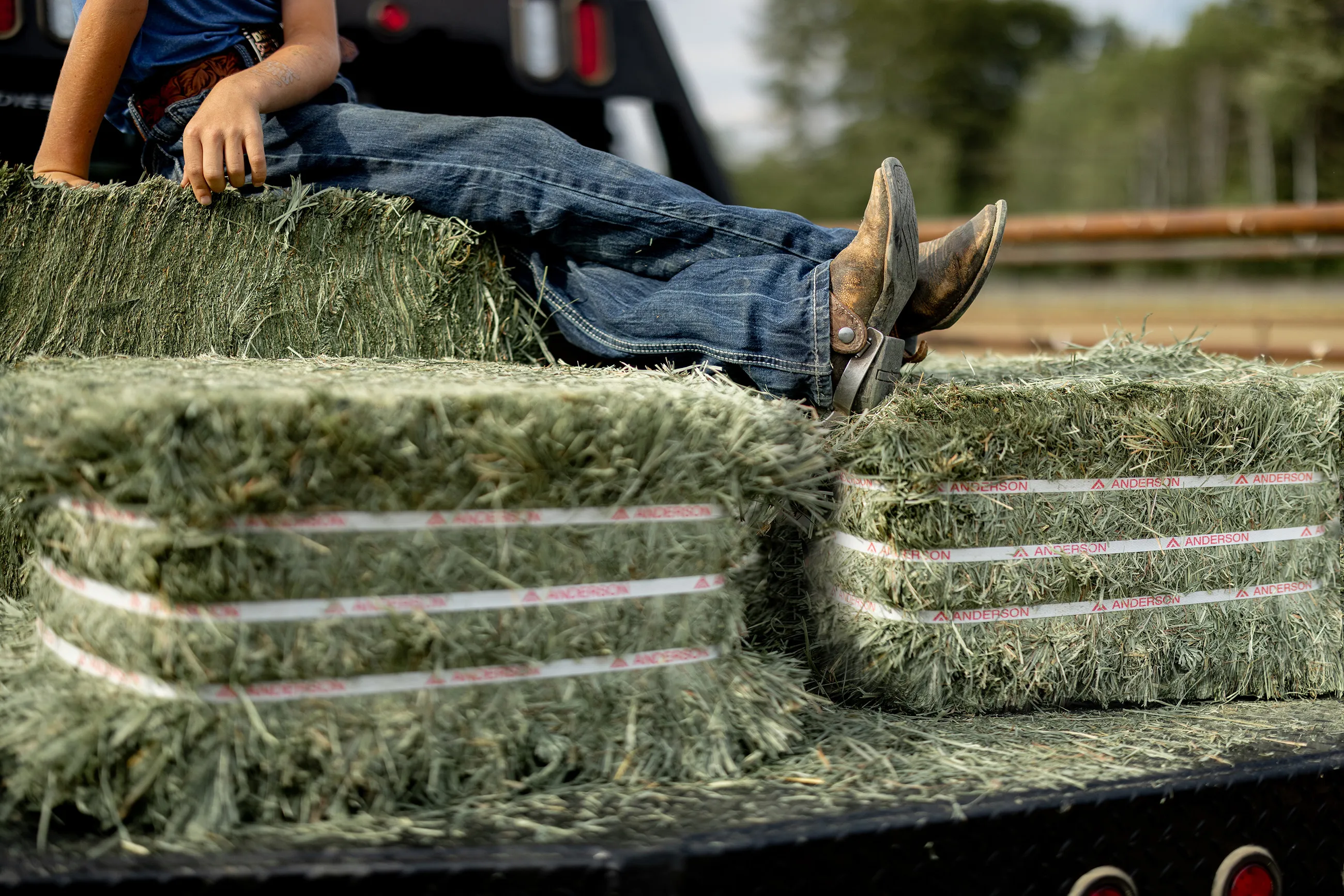 A boy sitting on Anderson Hay bales on a truck bed