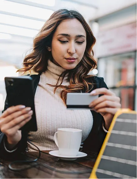 Customer Doing Shopping on Mobile