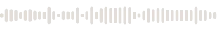 A horizontal black and white soundwave or audio waveform pattern on a white background.