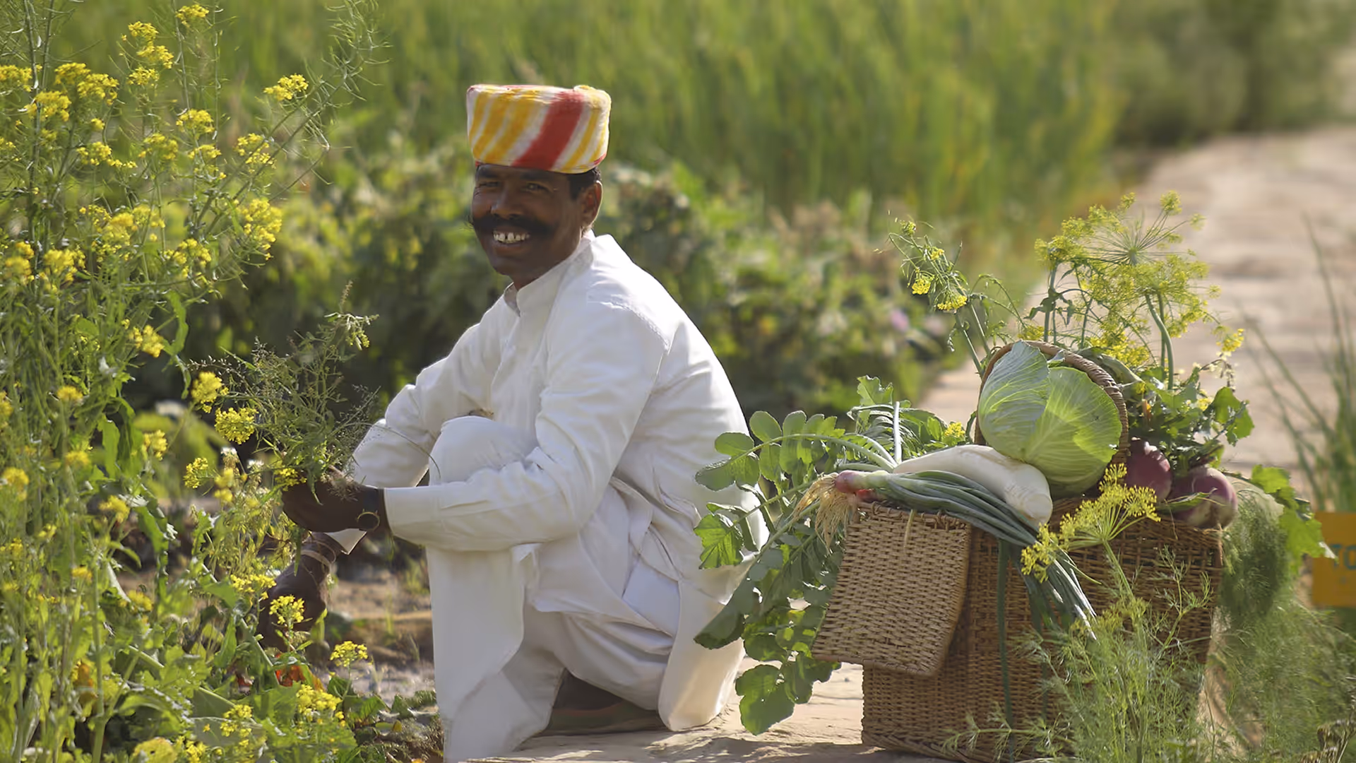 Smiling man in white traditional clothing and a colorful turban squats in a field with yellow flowers next to a basket of fresh vegetables.