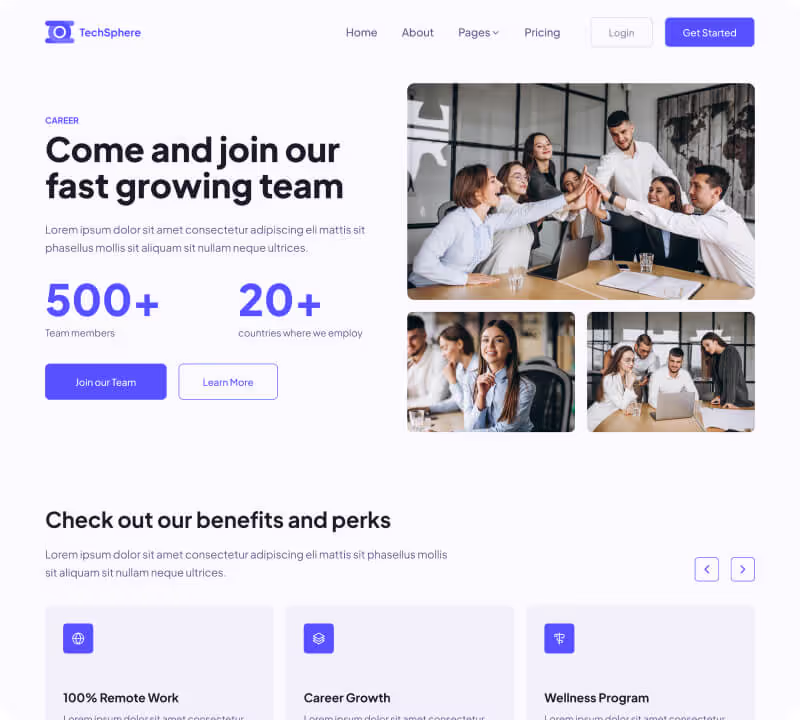 Sales Hero Page Career