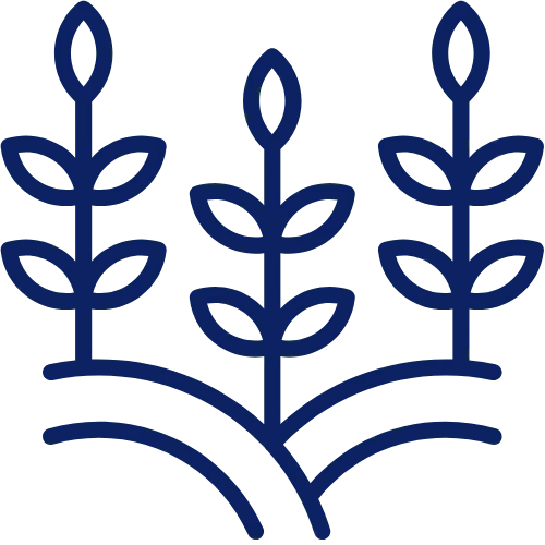 Icon of three stylized wheat stalks with leaves growing from curved lines representing soil.