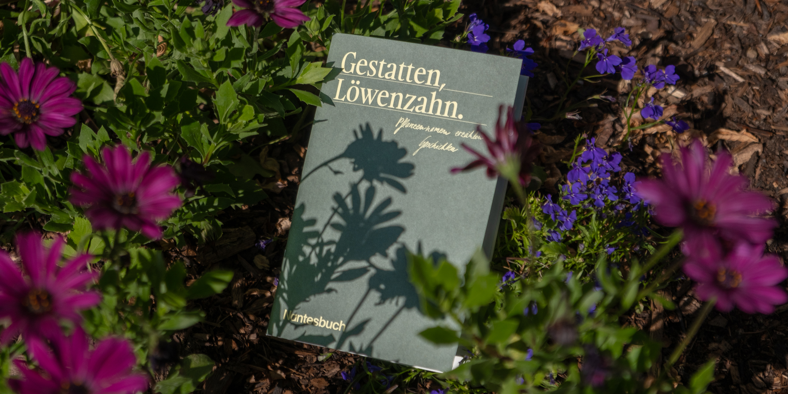 Eine dunkelgrüne Broschüre über Pflanzen der "Stiftung Kunst und Natur" liegt im Gras
