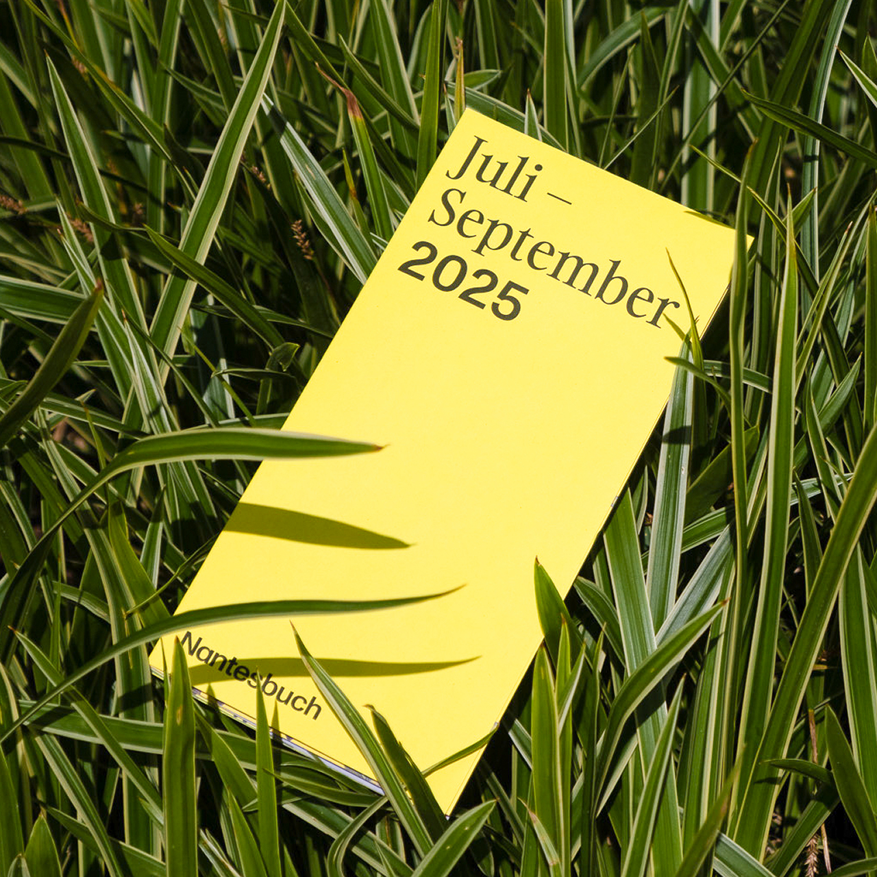 Das knallig gelbe Programmheft der "Stiftung Kunst und Natur" liegt im Gras 