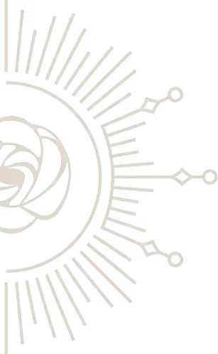 Abstract radial design with lines and geometric shapes radiating from a central spiral.