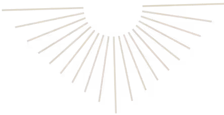 White sunburst design with radiating lines on a transparent background.