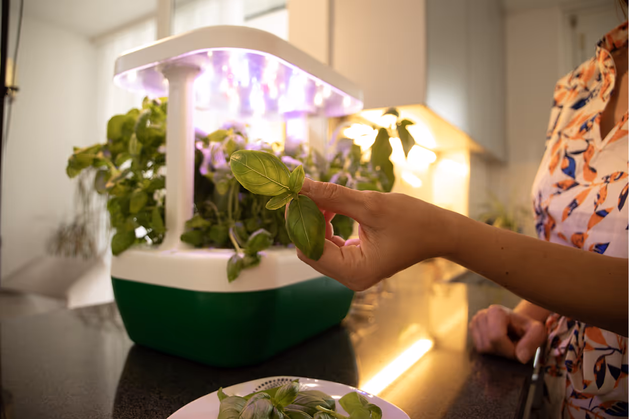 Growborg image