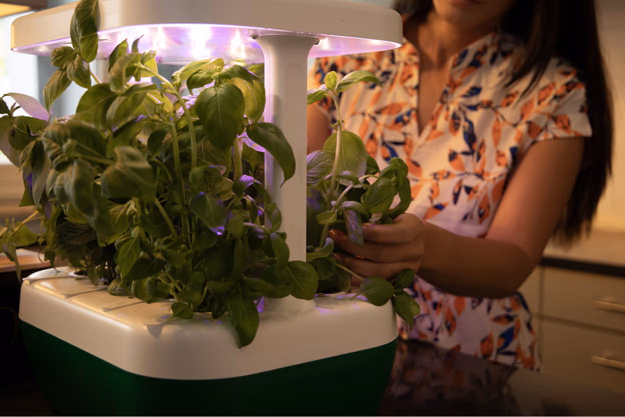 GrowBorg image