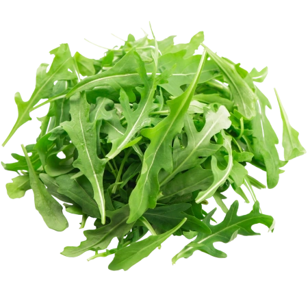wasabi-rucola-hp_muchps