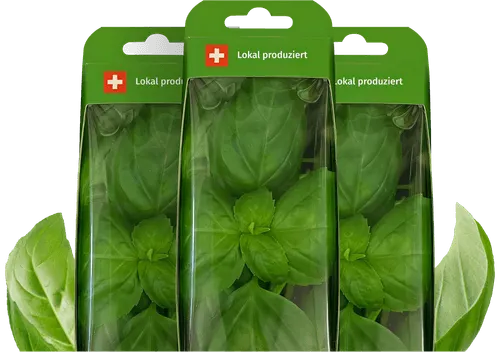 Basil packaging