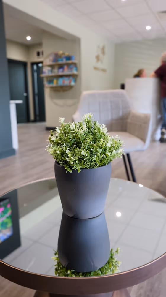 A small potted plant sitting on top of a glass table.