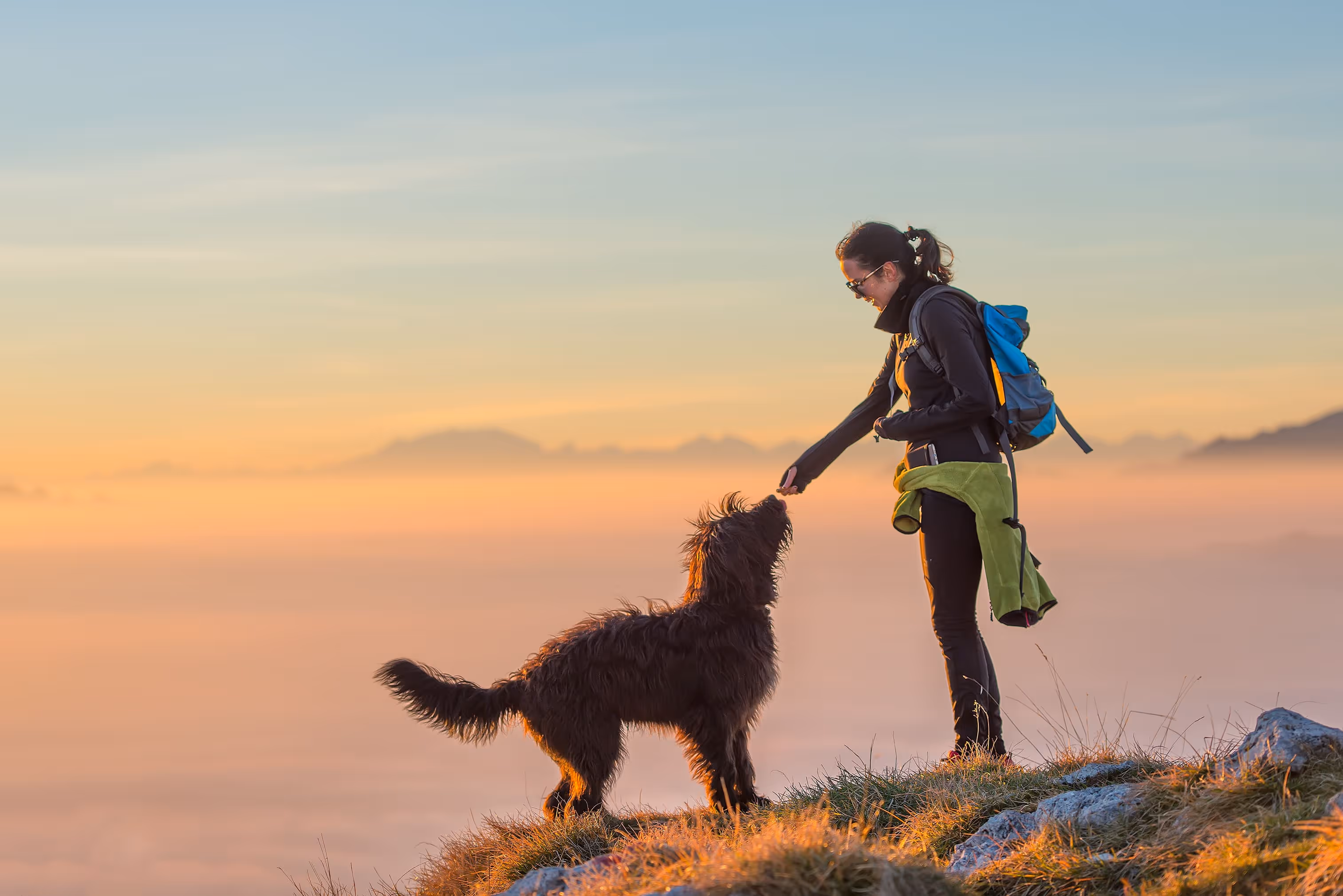 A woman with a backpack and a dog on top of a hill.