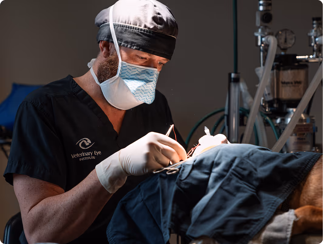 A man in a surgical mask is doing surgery.