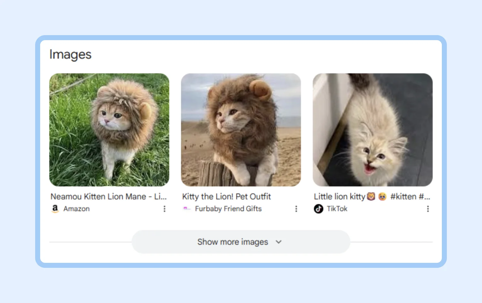 Strong image SEO increases visibility and click-through rates