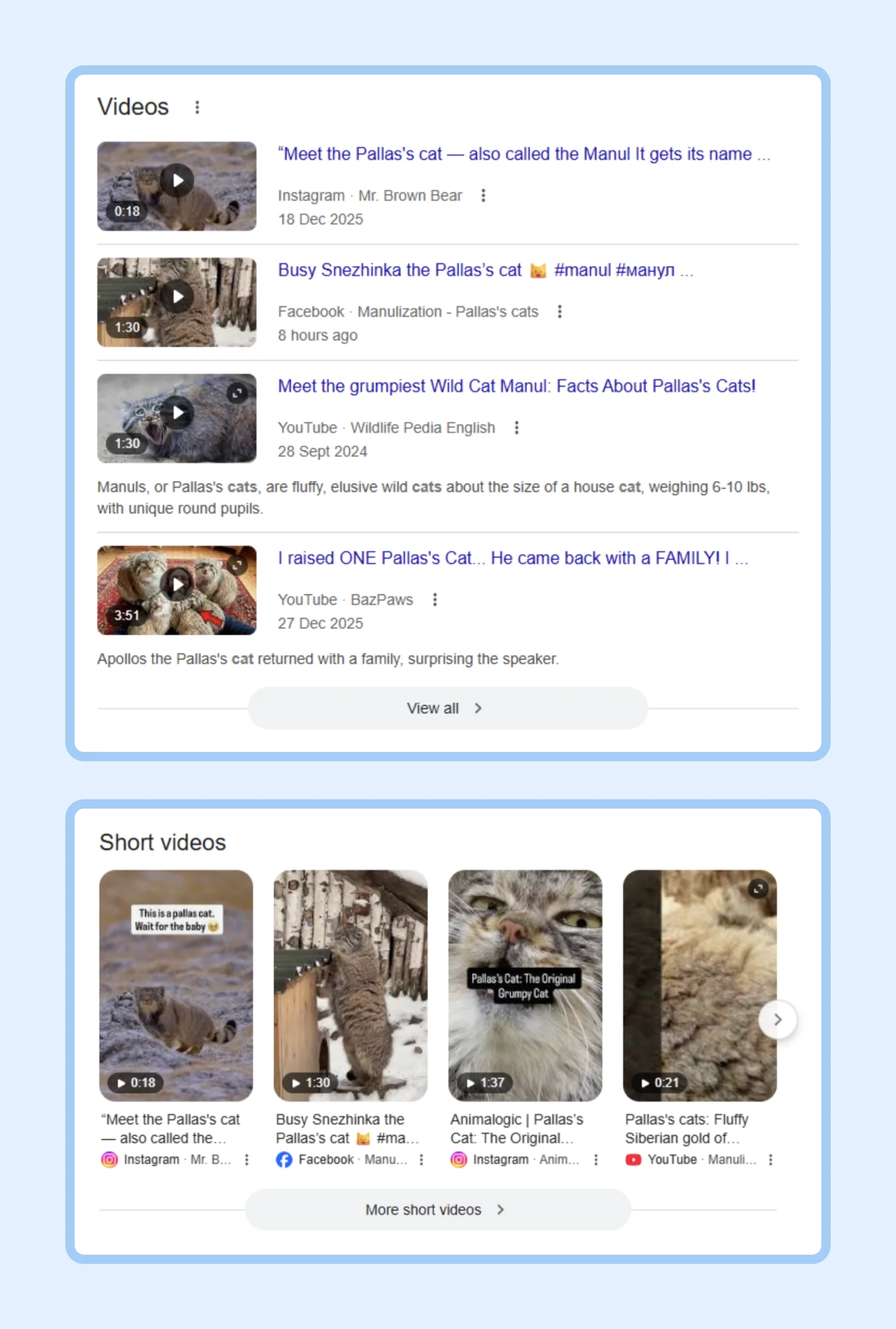 Video content diversifies presence across search pages