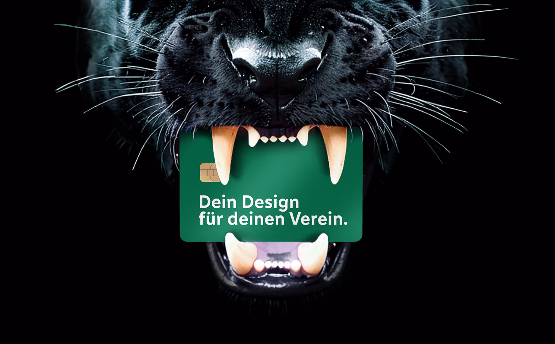 Hero-Header Bild mit einen realistischen Panther, der eine Bankkarte mit der Aufschrift "Dein Design für deinen Verein", im Mund hat