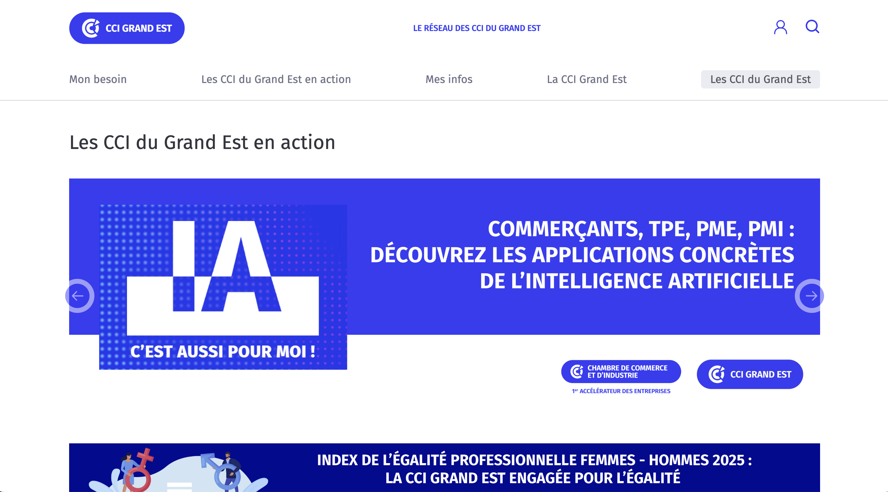 CCI Grand Est Mutualiser et rationaliser l’ensemble de l'écosystème Internet à l'aide d'une usine à sites