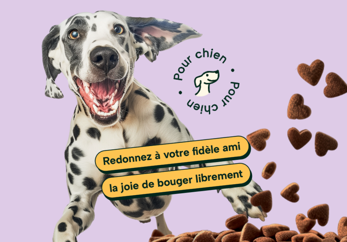 Un branding qui a du chien