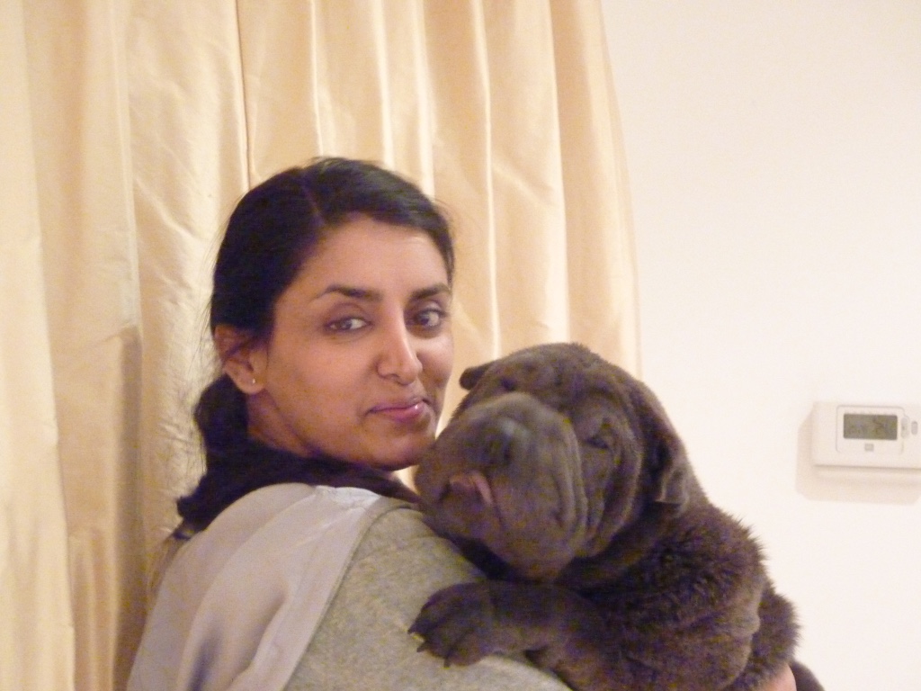 Shar-Pei Aneeta Prem dog Deeva