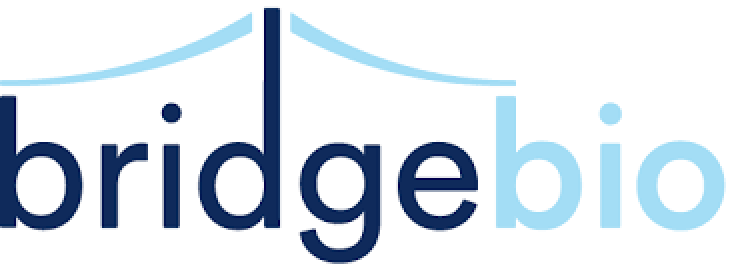 bridgebio logo