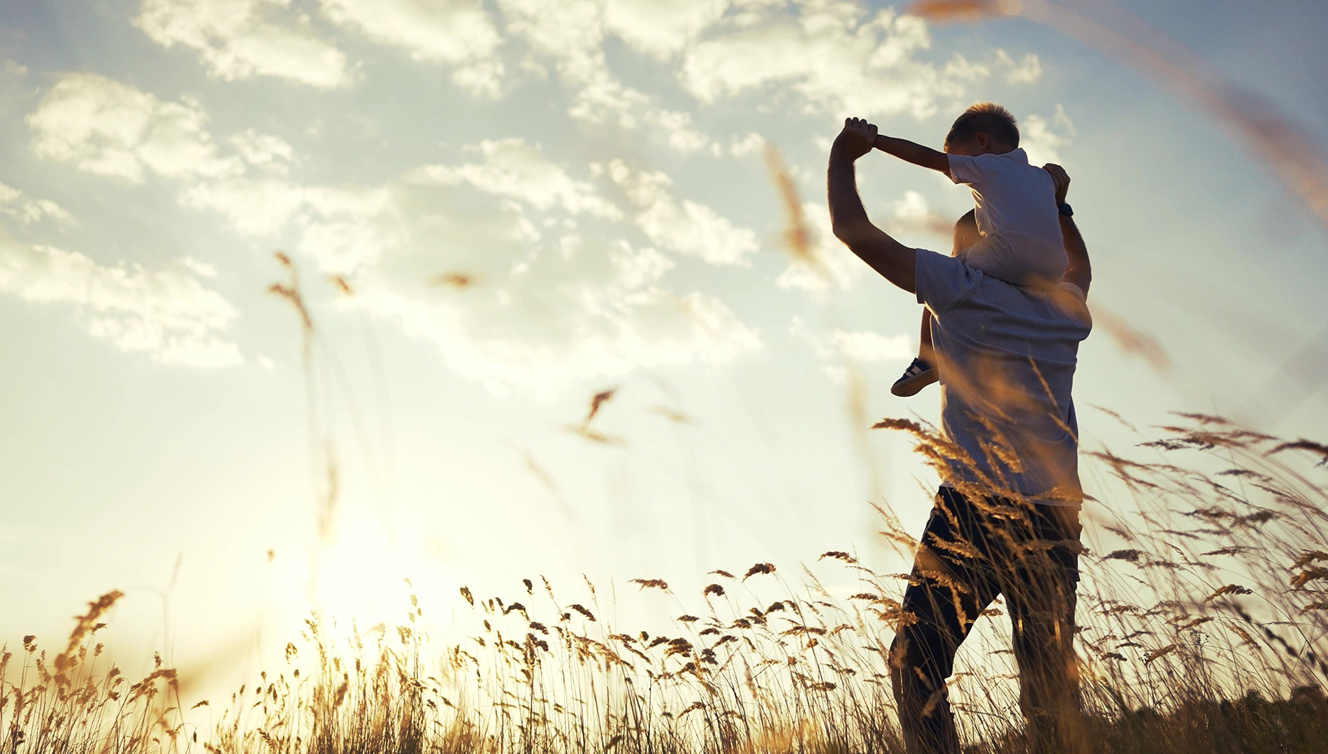 Image of father carrying his son on his shoulders through a field