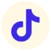 TikTok icon