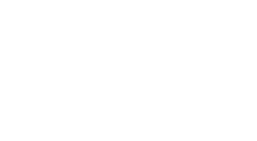 The Ritz Carlton