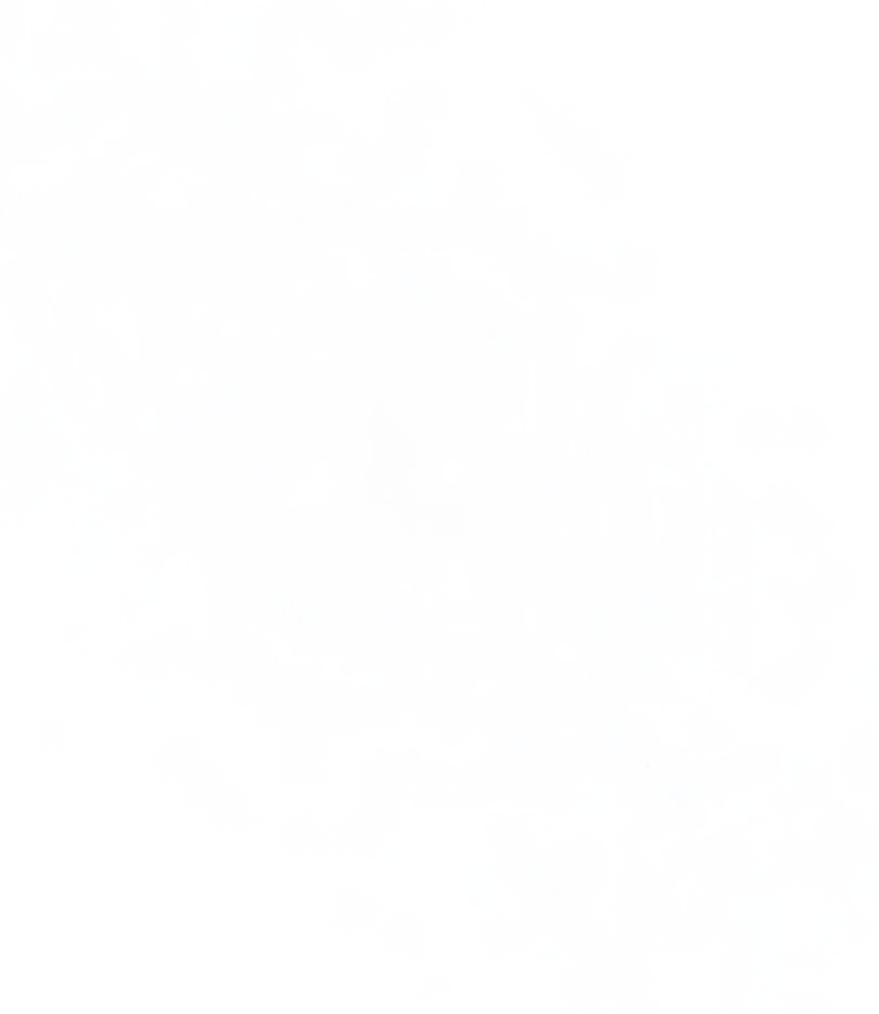 Group 1597883954 (1)