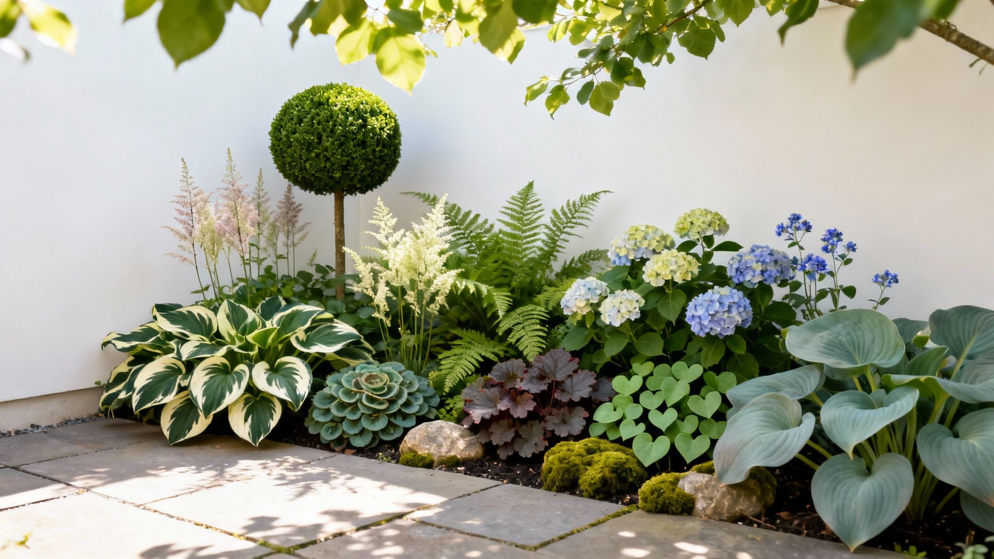Top 10 Essential Plants for Partial Shade Gardens in 2025