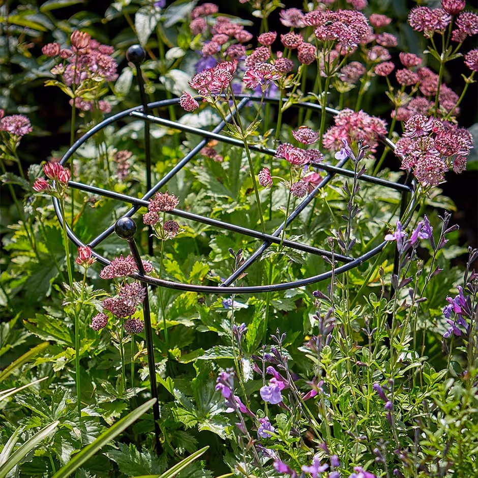Cottage garden grow through plant support - black