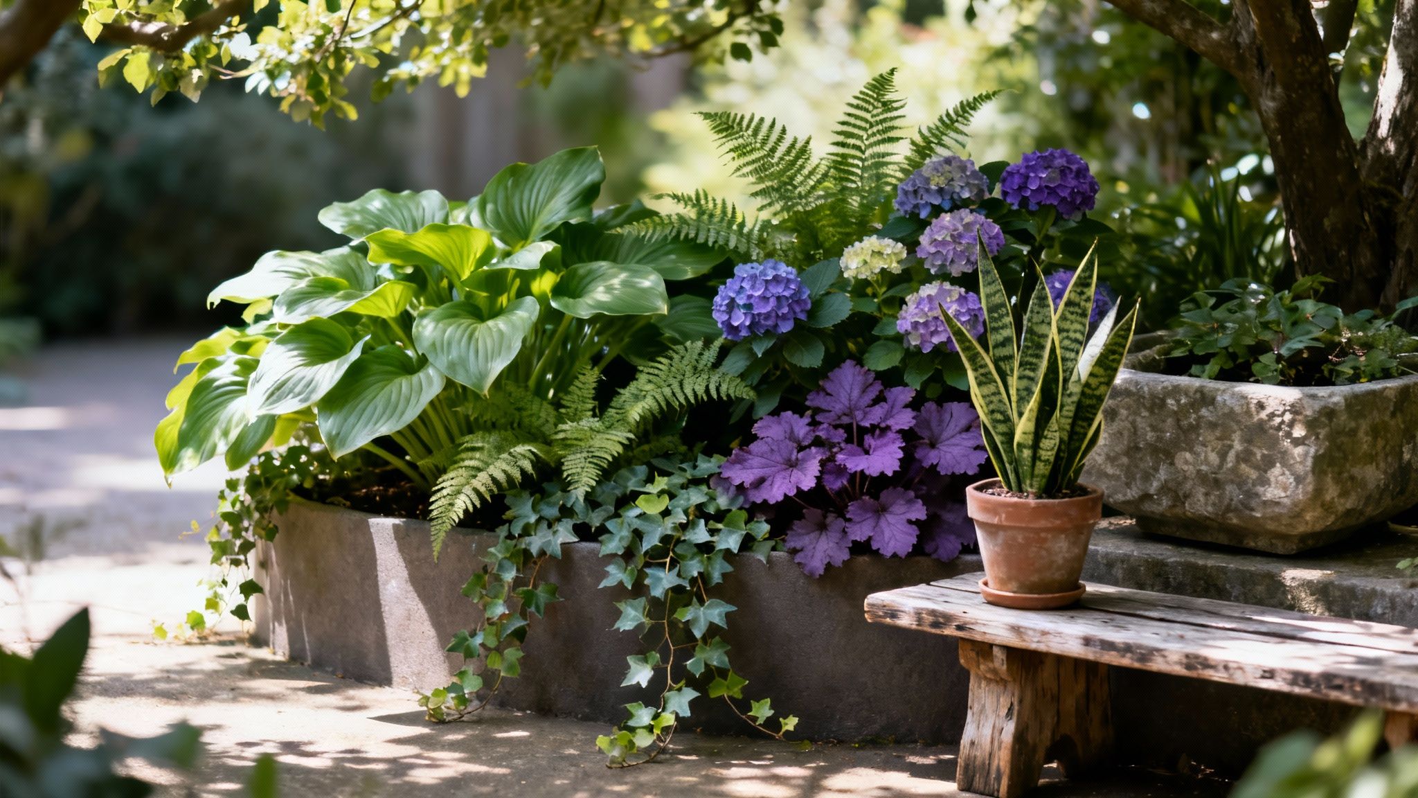 10 Exceptional Plants That Grow In Shade: A UK Gardener's Guide For 2026