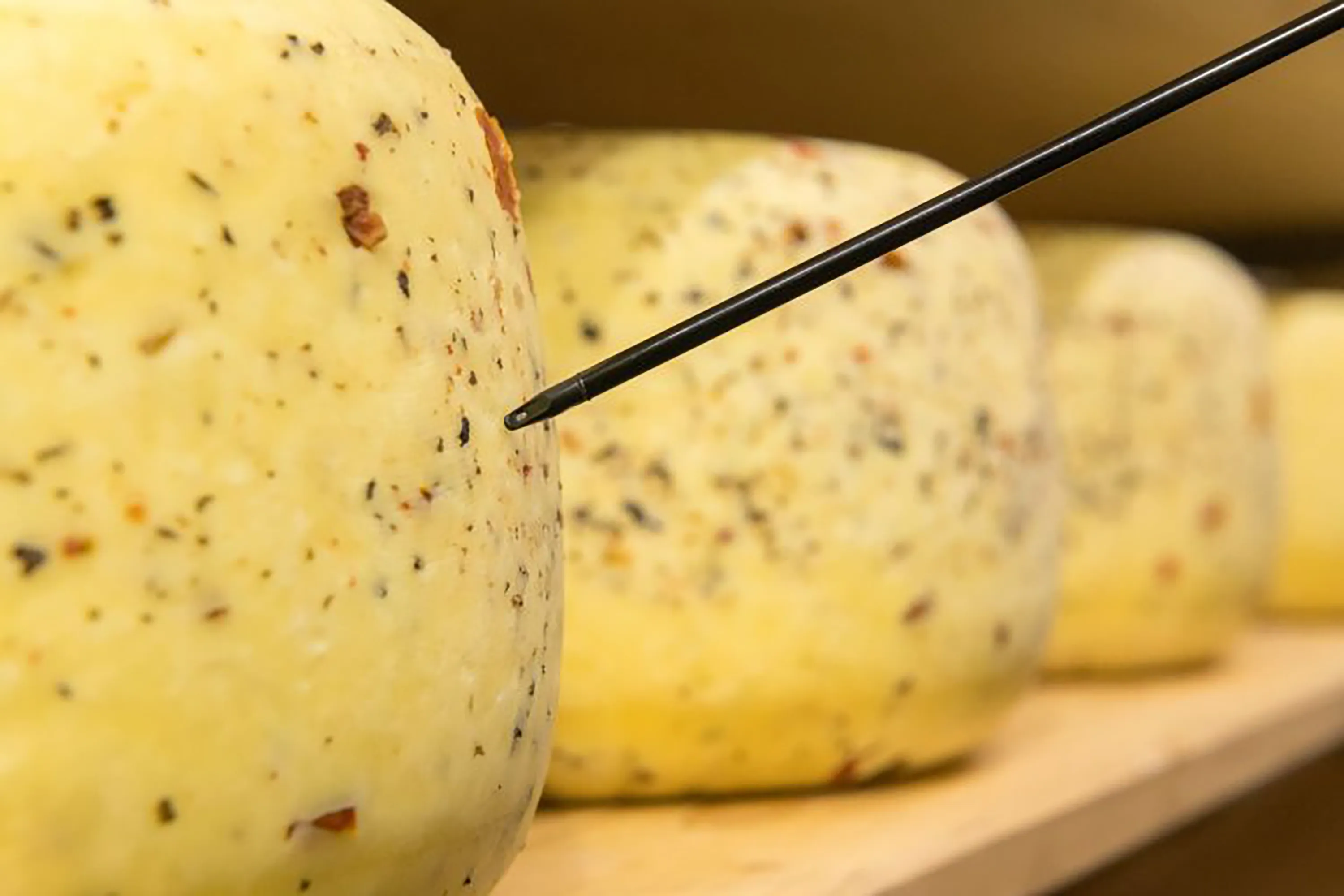 A device using Millar’s ISFET pH sensor probes a dairy product in a food production plant. 