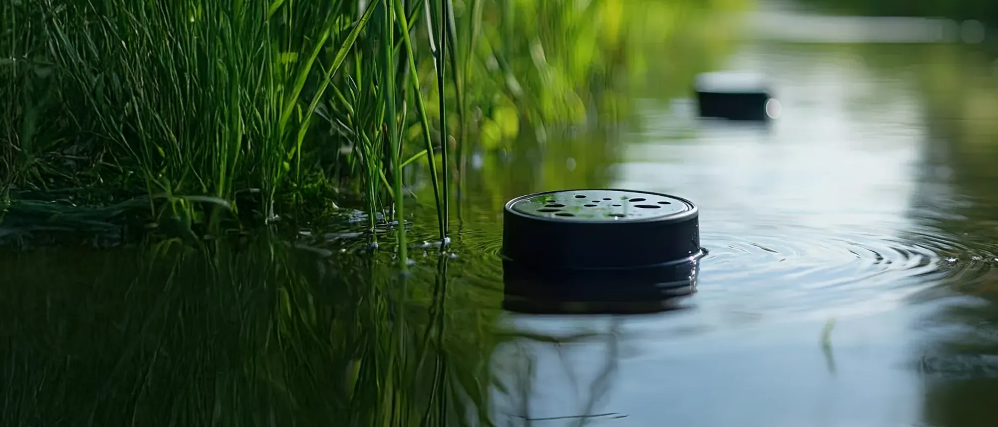 A water quality device using Millar’s precision sensing technology to take water quality measurements in a stream.