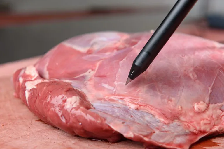 A device using Millar’s ISFET pH sensor technology takes measurements on a piece of meat in a food processing facility. 