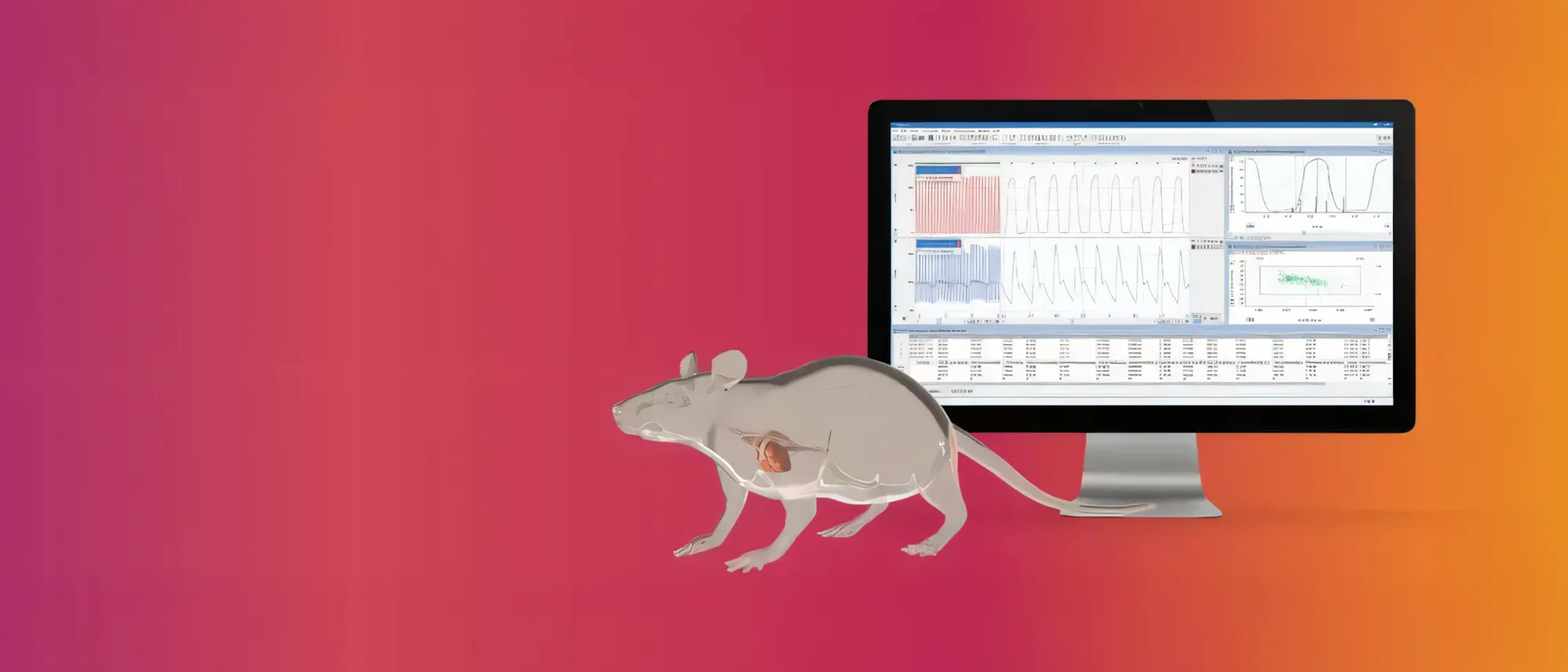 A graphic rendering of a rat with Millar’s electrophysiology catheter and a computer screen showing electrophysiology measurements.